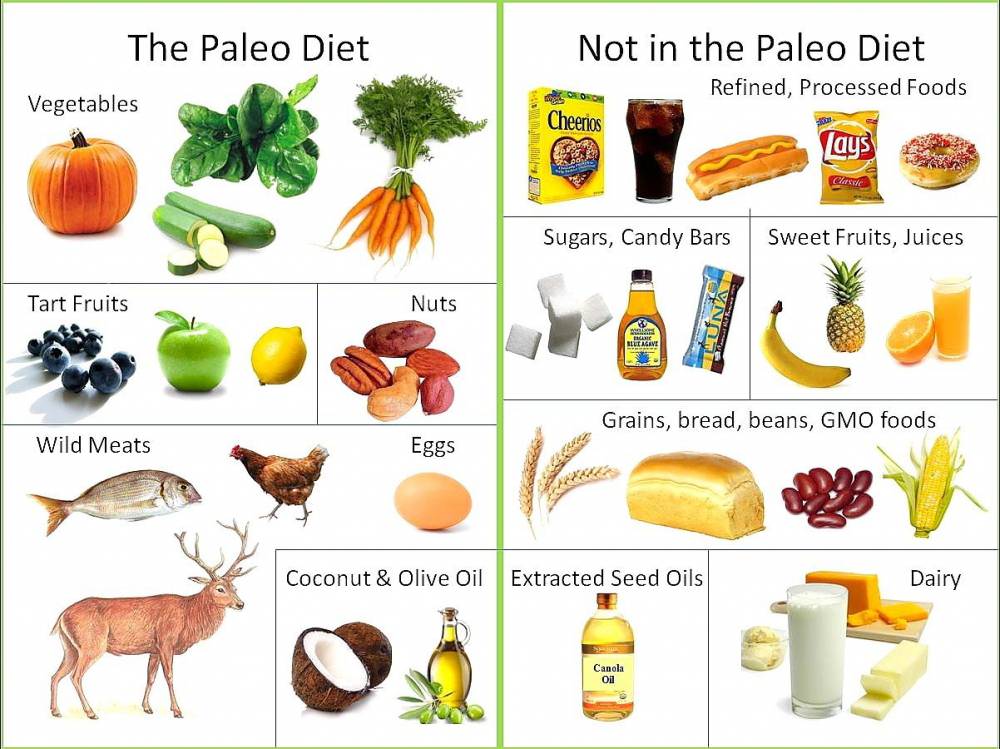 健康瘦身,健康飲食,原始人飲食,排毒飲食,減重,瘦身,瘦身飲食,間歇性斷食